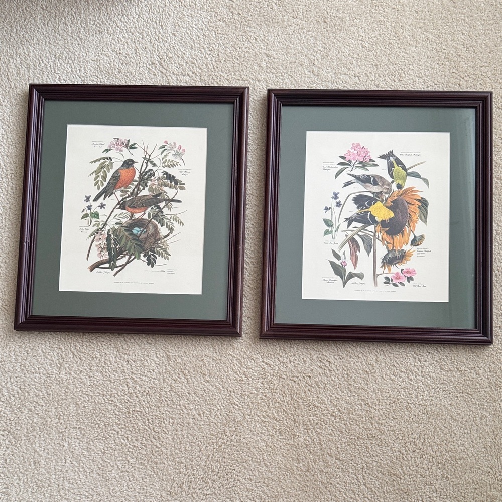 Arthur Singer Vintage Framed Botanical Bird Prints